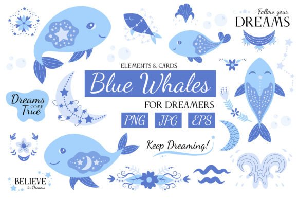 Download Blue Whale Clipart &amp; Pre-made Cards - Cards Collection